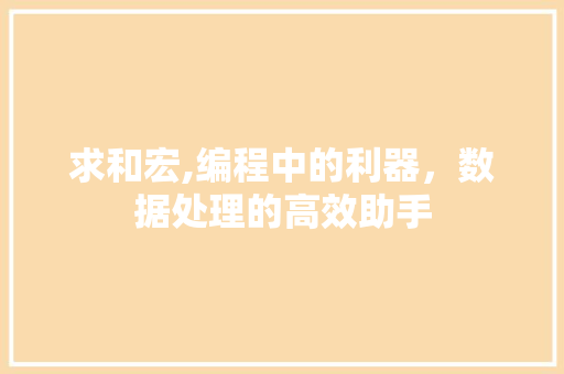 求和宏,编程中的利器，数据处理的高效助手 必应SEO