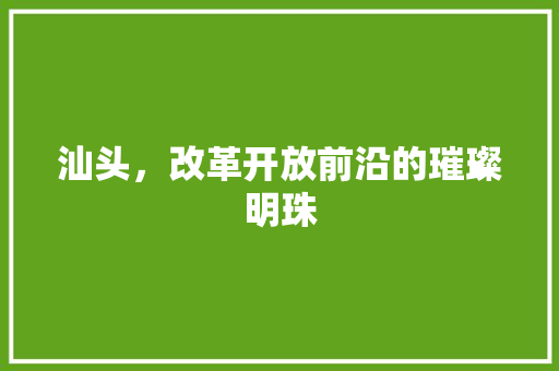 汕头，改革开放前沿的璀璨明珠 必应SEO