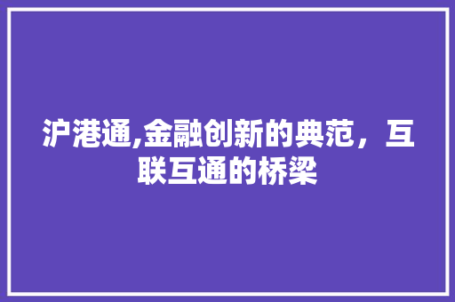 沪港通,金融创新的典范，互联互通的桥梁 神马SEO