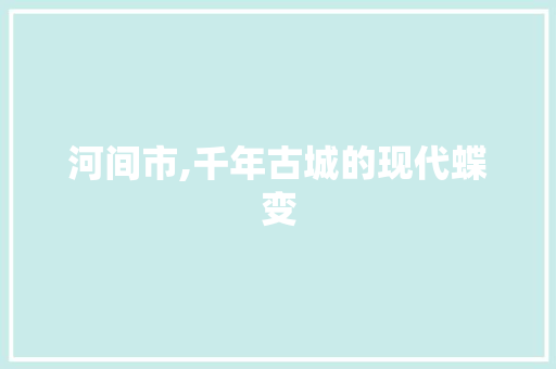 河间市,千年古城的现代蝶变 百度SEO