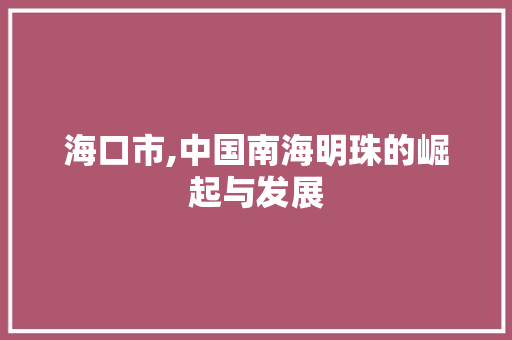 海口市,中国南海明珠的崛起与发展