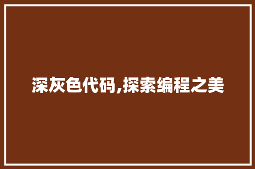 深灰色代码,探索编程之美 百度SEO