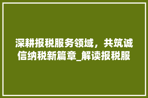 深耕报税服务领域，共筑诚信纳税新篇章_解读报税服务协议 GoogleSEO