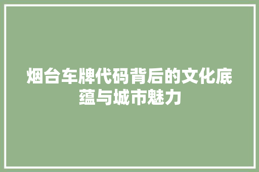 烟台车牌代码背后的文化底蕴与城市魅力 必应SEO
