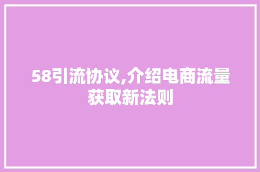 58引流协议,介绍电商流量获取新法则