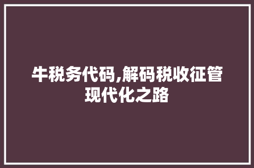 牛税务代码,解码税收征管现代化之路 GoogleSEO