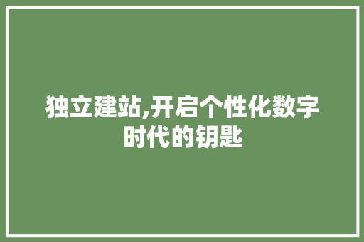 独立建站,开启个性化数字时代的钥匙 神马SEO