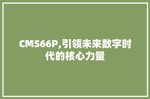CMS66P,引领未来数字时代的核心力量