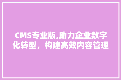 CMS专业版,助力企业数字化转型，构建高效内容管理平台 百度SEO