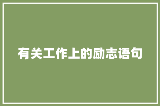 CMS京挑客,赋能内容创作者，打造优质内容生态圈 神马SEO