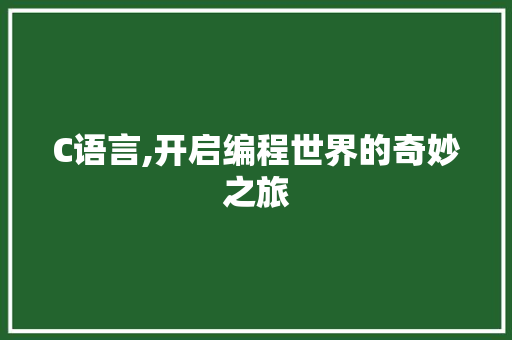 C语言,开启编程世界的奇妙之旅 必应SEO