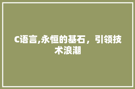 C语言,永恒的基石，引领技术浪潮 神马SEO