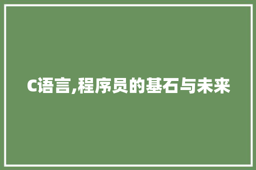 C语言,程序员的基石与未来 GoogleSEO