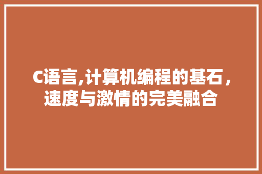 C语言,计算机编程的基石，速度与激情的完美融合