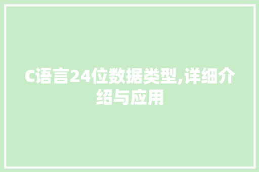 C语言24位数据类型,详细介绍与应用 神马SEO