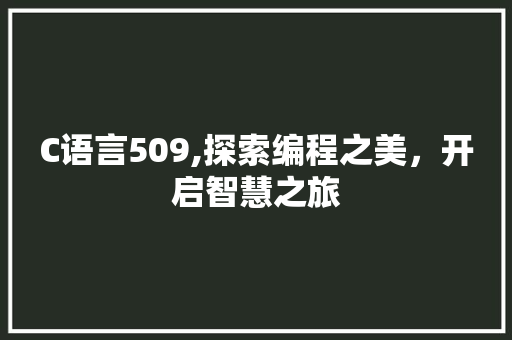 C语言509,探索编程之美，开启智慧之旅 必应SEO