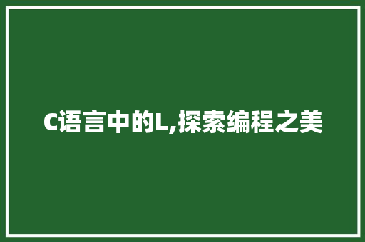 C语言中的L,探索编程之美 GoogleSEO