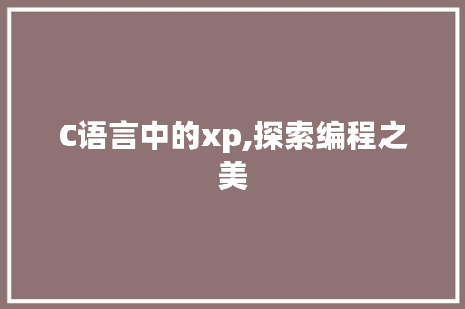 C语言中的xp,探索编程之美 必应SEO