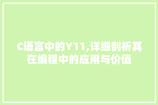 C语言中的Y11,详细剖析其在编程中的应用与价值