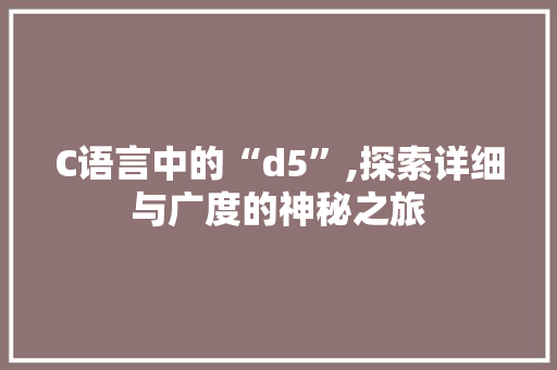 C语言中的“d5”,探索详细与广度的神秘之旅 必应SEO