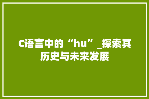 C语言中的“hu”_探索其历史与未来发展