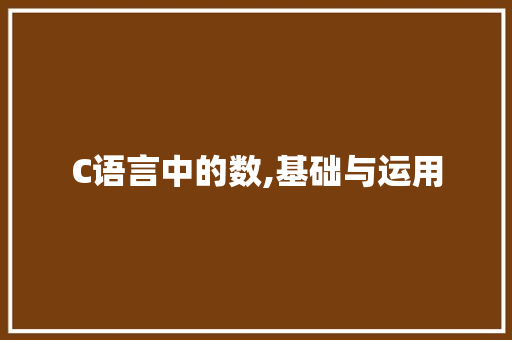 C语言中的数,基础与运用 神马SEO