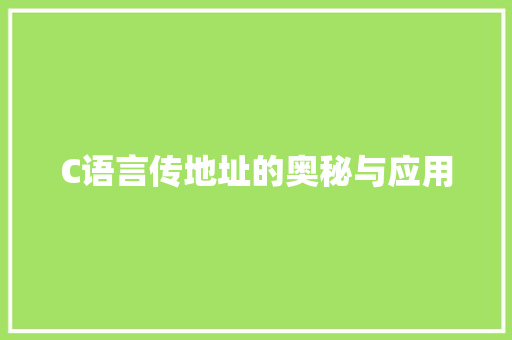 C语言传地址的奥秘与应用 必应SEO