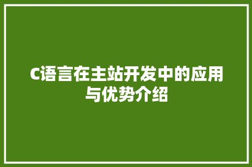 C语言在主站开发中的应用与优势介绍 必应SEO