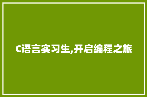 C语言实习生,开启编程之旅 百度SEO