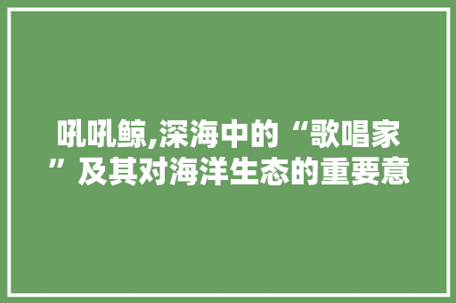 吼吼鲸,深海中的“歌唱家”及其对海洋生态的重要意义 GoogleSEO