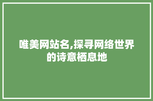 唯美网站名,探寻网络世界的诗意栖息地 GoogleSEO