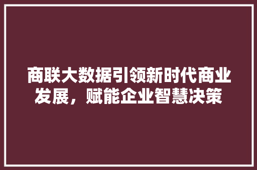 商联大数据引领新时代商业发展，赋能企业智慧决策