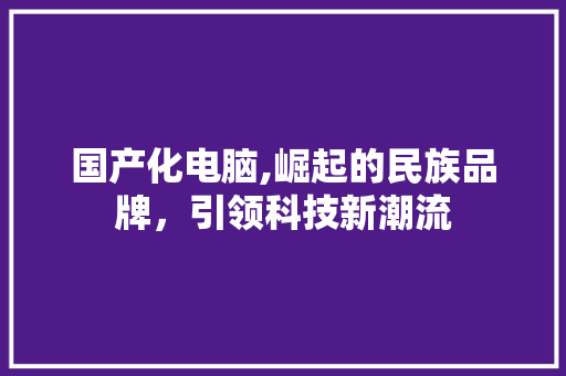 国产化电脑,崛起的民族品牌，引领科技新潮流 百度SEO