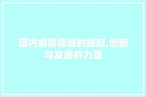 国内编程领域的崛起,创新与发展的力量 GoogleSEO