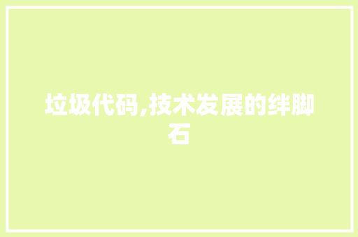 垃圾代码,技术发展的绊脚石 百度SEO