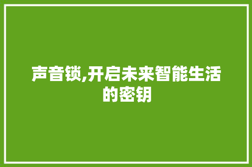 声音锁,开启未来智能生活的密钥