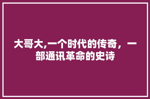 大哥大,一个时代的传奇，一部通讯革命的史诗 必应SEO