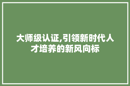 大师级认证,引领新时代人才培养的新风向标 百度SEO