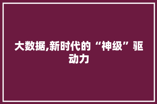 大数据,新时代的“神级”驱动力 GoogleSEO