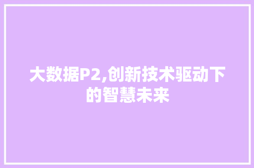大数据P2,创新技术驱动下的智慧未来 百度SEO