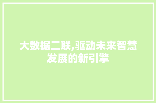 大数据二联,驱动未来智慧发展的新引擎 百度SEO