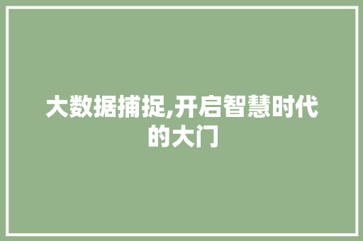 大数据捕捉,开启智慧时代的大门
