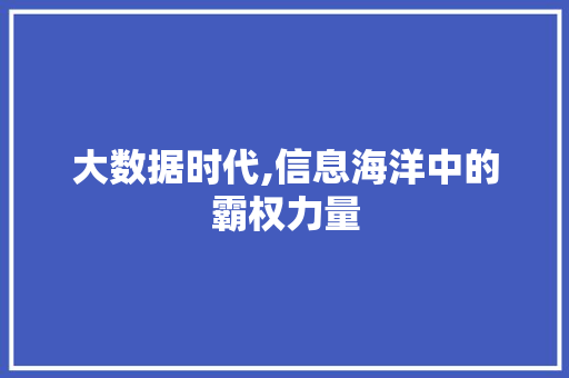 大数据时代,信息海洋中的霸权力量 GoogleSEO