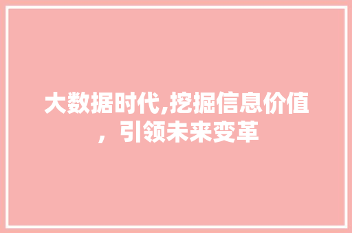 大数据时代,挖掘信息价值，引领未来变革