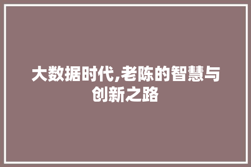 大数据时代,老陈的智慧与创新之路 必应SEO