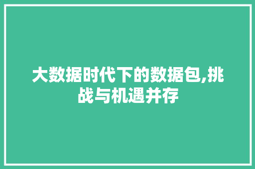 大数据时代下的数据包,挑战与机遇并存 必应SEO