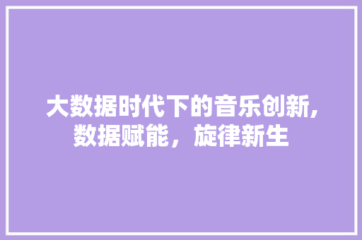 大数据时代下的音乐创新,数据赋能，旋律新生 神马SEO