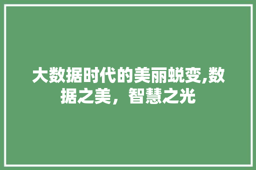 大数据时代的美丽蜕变,数据之美，智慧之光 必应SEO