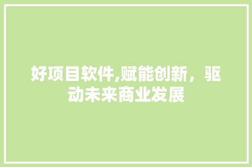 好项目软件,赋能创新，驱动未来商业发展 百度SEO