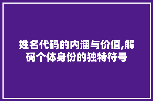 姓名代码的内涵与价值,解码个体身份的独特符号 搜狗SEO